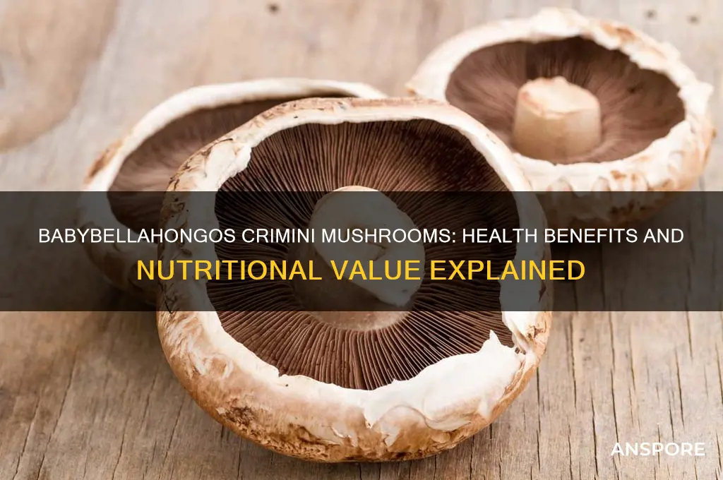 is babybellahongo crimini mushrooms good for you