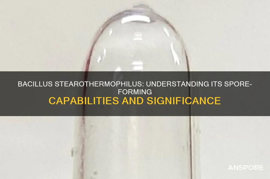 is bacililus stearothermophilus spore forming