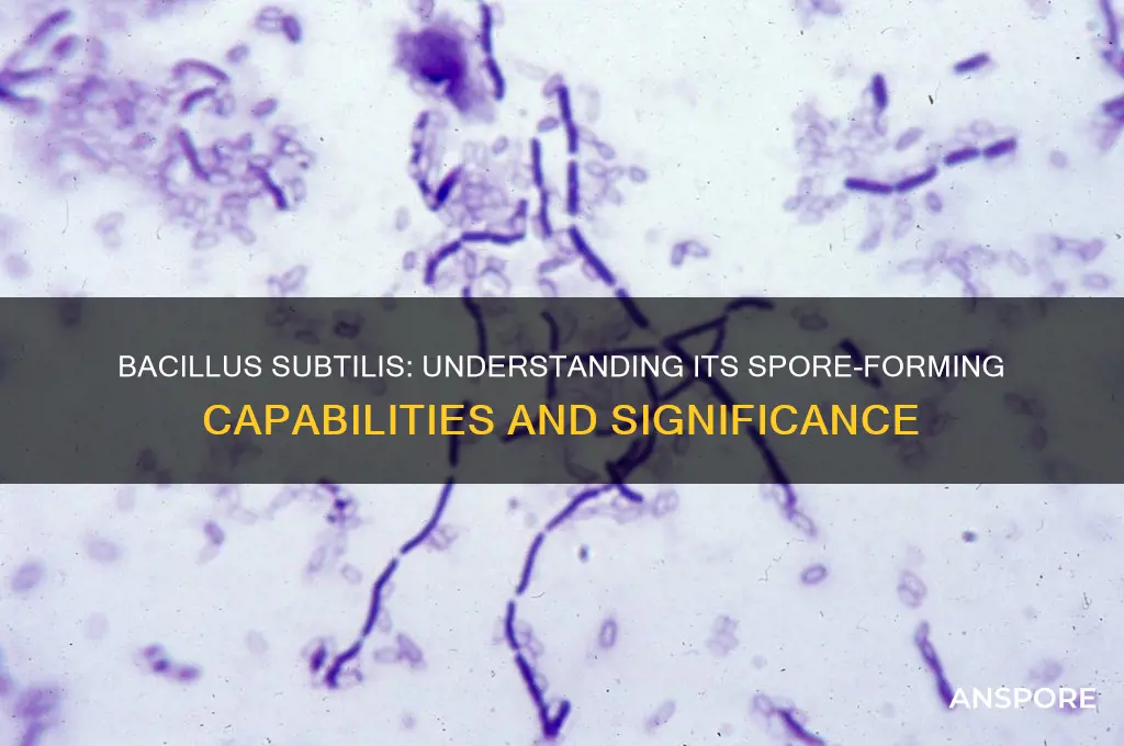 is bacillus subtilis a spore former
