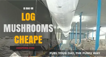 Bag vs. Log Mushrooms: Which Cultivation Method is More Cost-Effective?