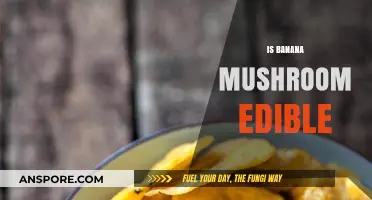 Can You Eat Banana Mushroom? A Guide to Its Edibility
