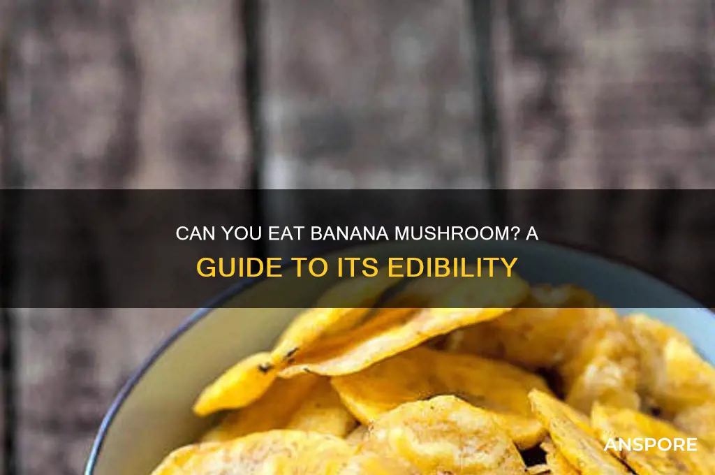 is banana mushroom edible