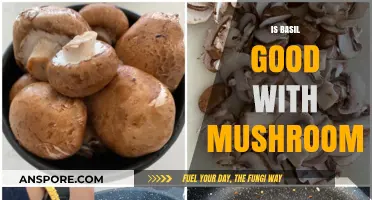 Basil and Mushrooms: A Flavorful Match Made in Culinary Heaven?