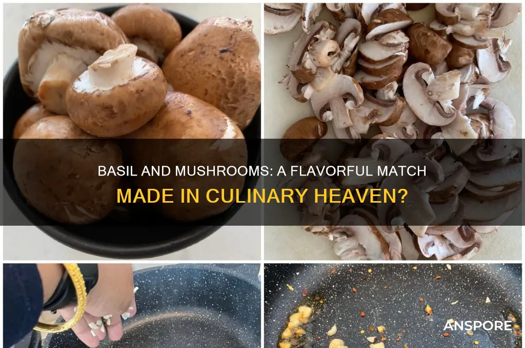 is basil good with mushrooms