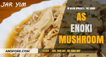 Bean Sprouts vs. Enoki Mushrooms: Understanding the Key Differences