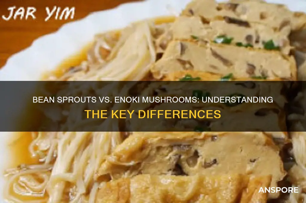 is bean sprouts the same as enoki mushrooms