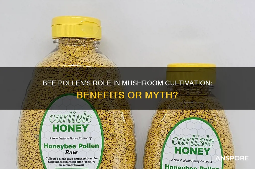 is bee pollen a good attitude for growing mushrooms