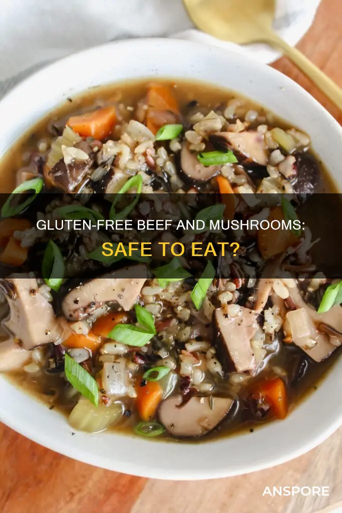 is beef and mushrooms glutenfree