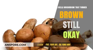 Is Brown Bella Mushroom Still Safe to Eat? Find Out!