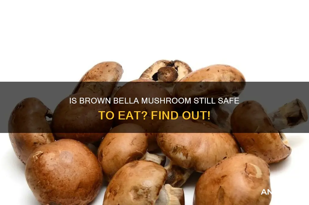 is bella mushroom that turned brown still okay