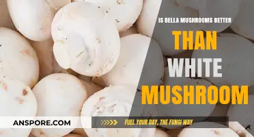 Bella Mushrooms vs. White Mushrooms: Which is the Better Choice?