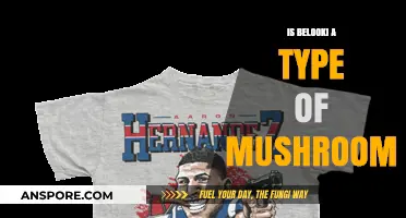 Is Belooki a Mushroom? Unveiling the Truth Behind This Fungus