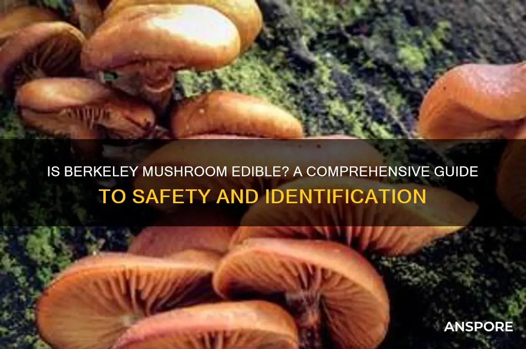 is berkely mushroom edible