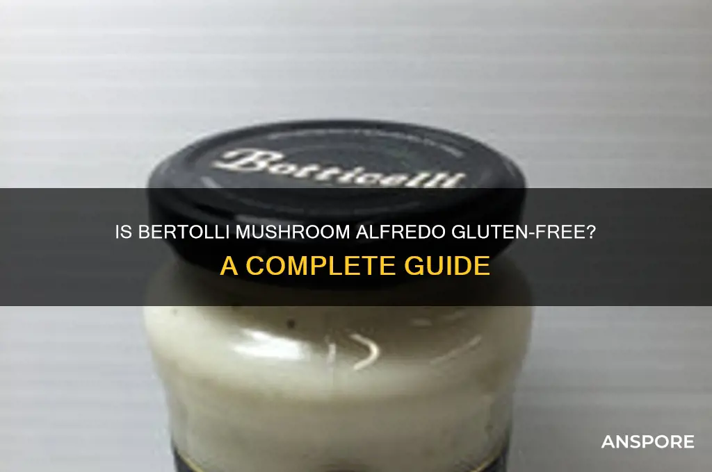 is bertolli mushroom alfredo gluten free