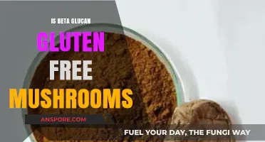 Beta Glucan in Mushrooms: Gluten-Free Benefits and Nutritional Insights