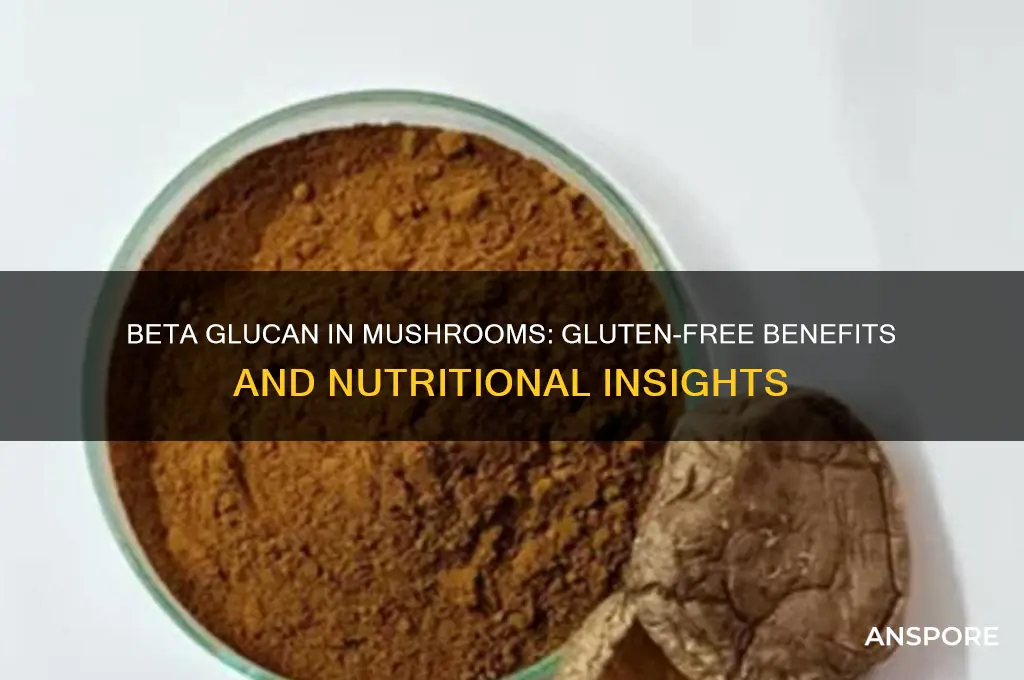 is beta glucan gluten free mushrooms