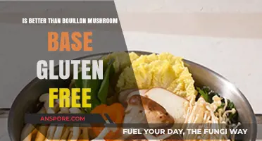 Is Better Than Bouillon Mushroom Base Gluten-Free? Find Out Here