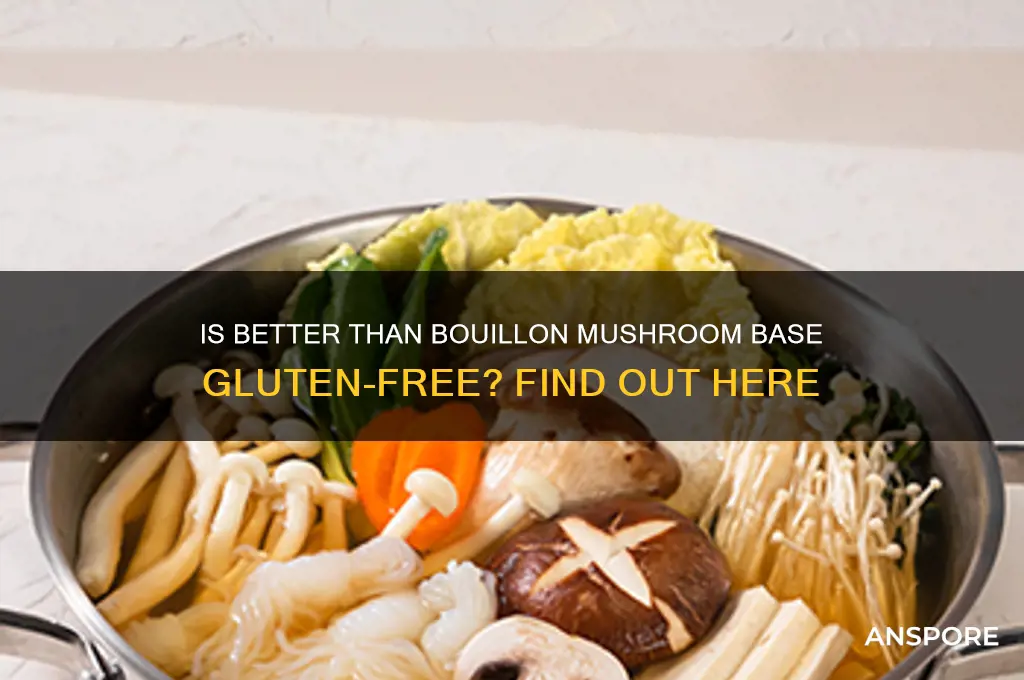 is better than bouillon mushroom base gluten free