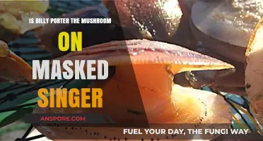 Is Billy Porter the Mushroom on The Masked Singer?