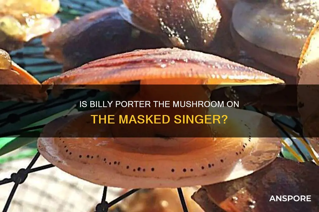 is billy porter the mushroom on masked singer