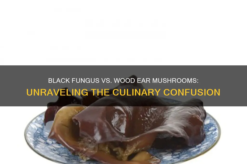 is black fungus the same as wood ear mushrooms