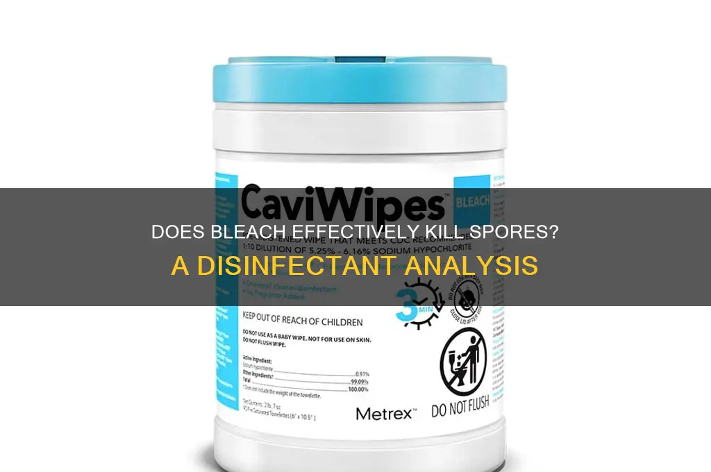 is bleach a spore-killing disinfectant