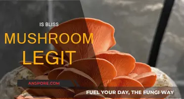 The Legitimacy of Bliss Mushrooms: A Comprehensive Review
