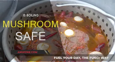 Boiling Mushrooms: Safe or Not?