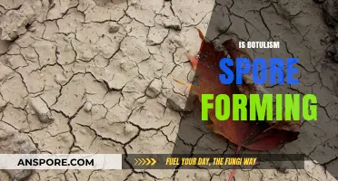 Understanding Botulism: The Truth About Its Spore-Forming Nature