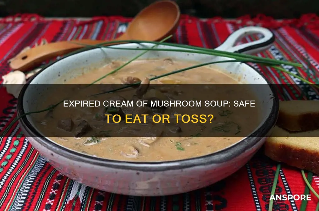is boxed cream of mushroom soup safe to eat expired
