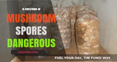 Breathing Mushroom Spores: Health Risks and Safety Concerns Explained