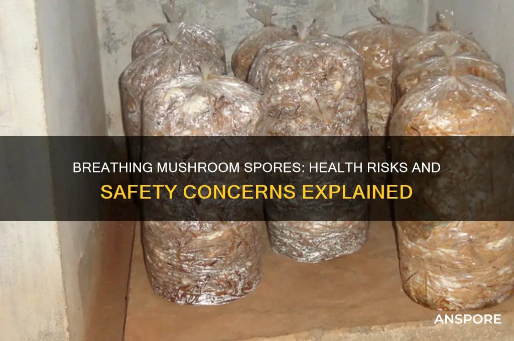 is breathing in mushroom spores dangerous