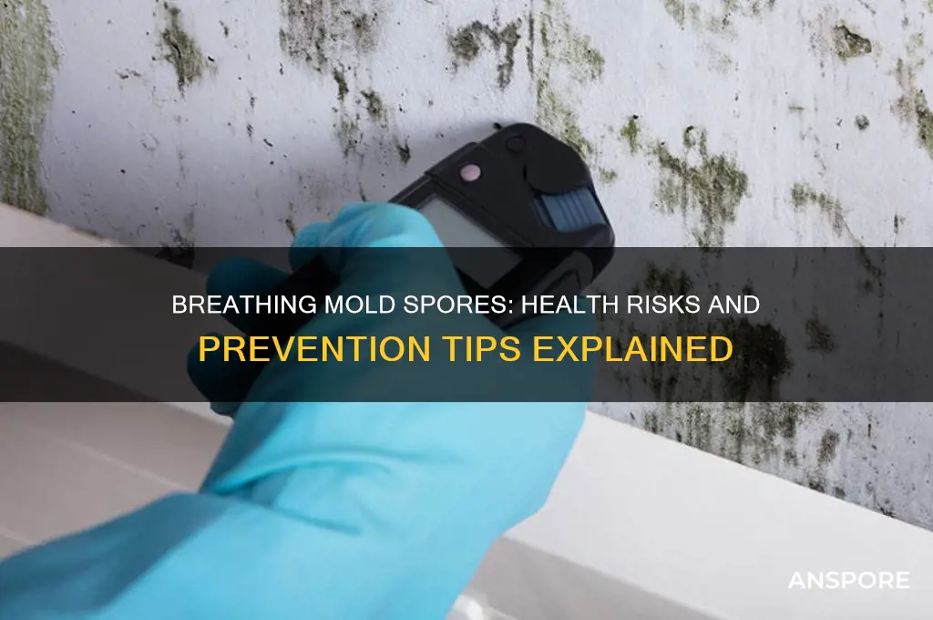 is breathing mold spores dangerous