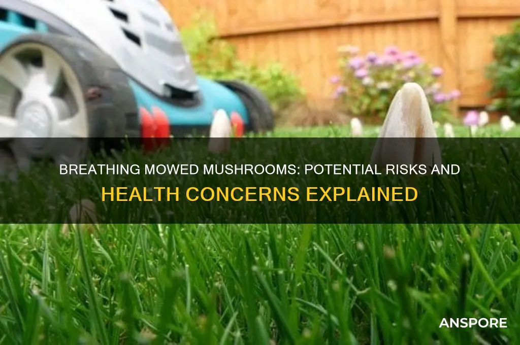 is breathing mowed mushrooms bad