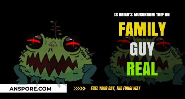 Is Brian's Mushroom Trip on Family Guy Based on Reality?