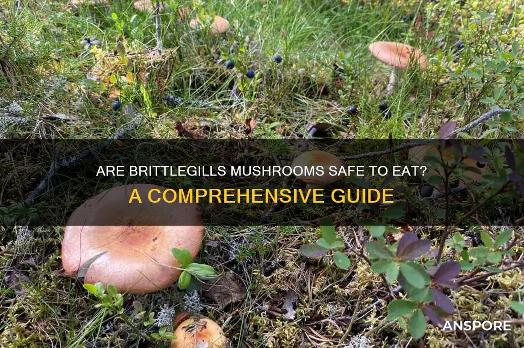 is brittlegills mushroom edible