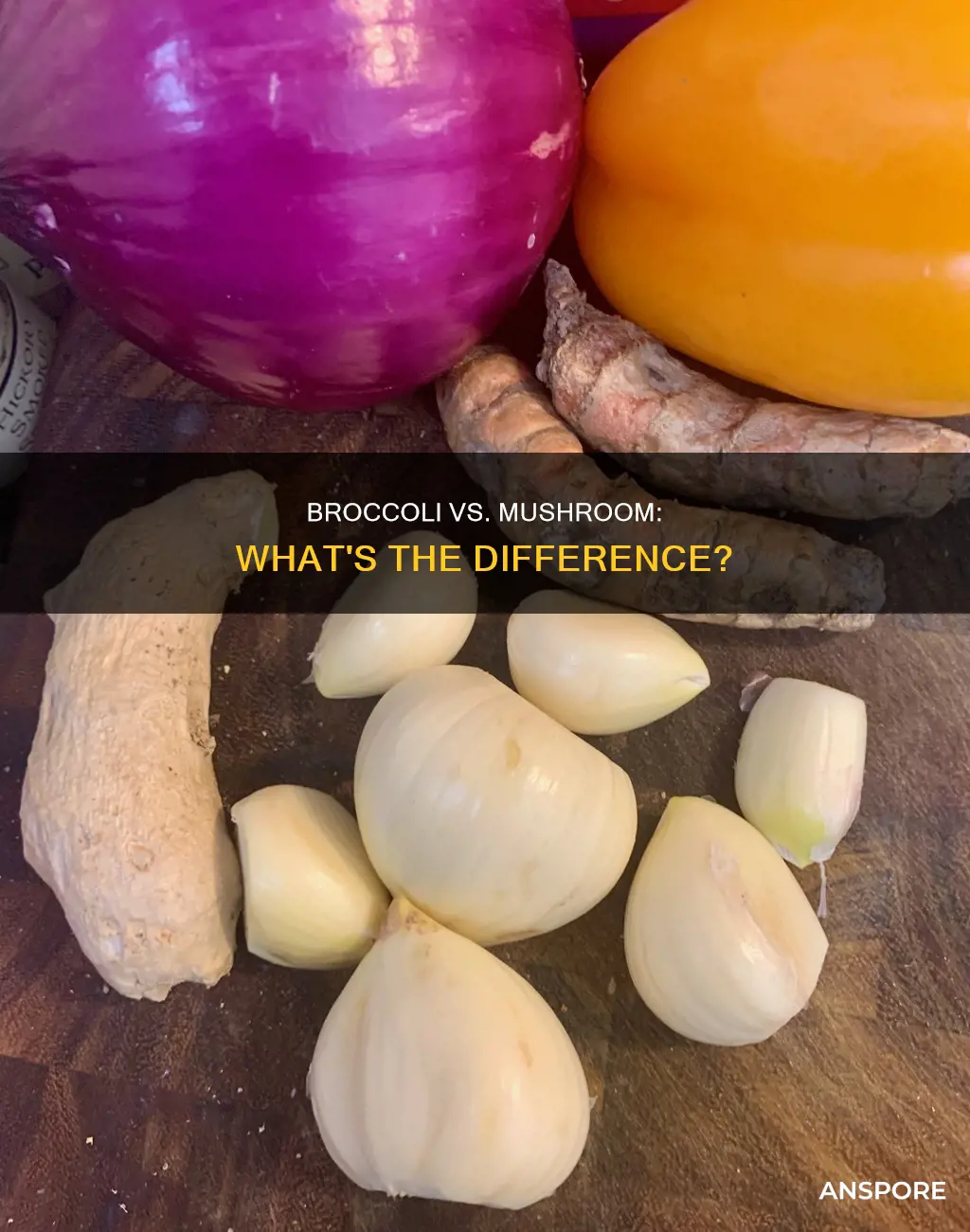 is broccoli a mushroom
