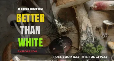 Brown vs. White Mushrooms: Which One Offers Superior Health Benefits?