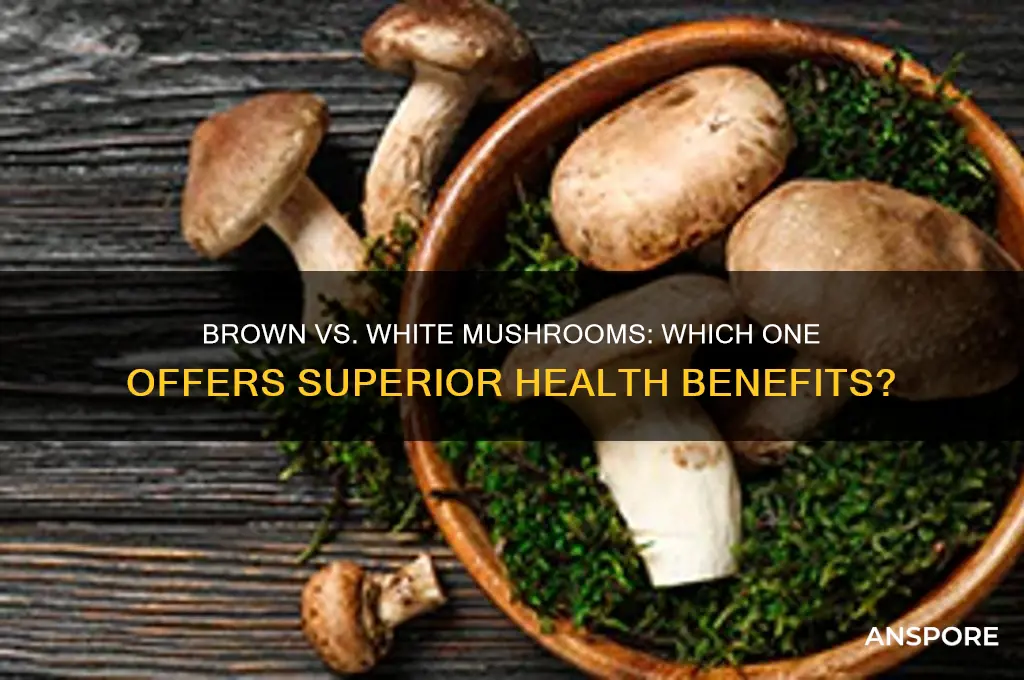 is brown mushroom better than white