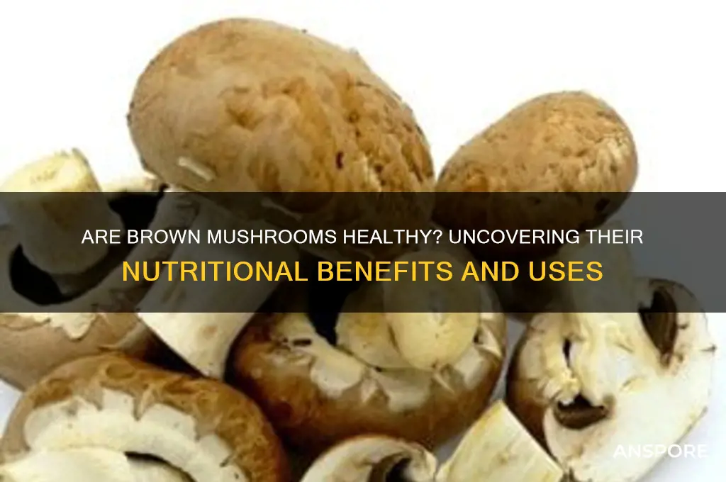is brown mushrooms good for you