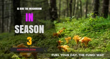 Is Bud the Mushroom in Season 3? Unraveling the Mystery