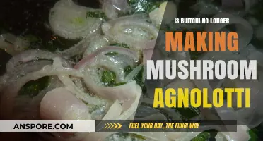 Buitoni Mushroom Agnolotti Discontinued: What Happened and Why?