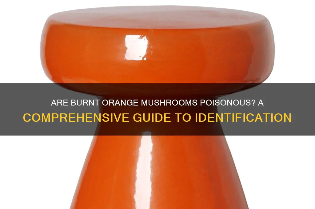 is burnt orange mushrooms poisonous