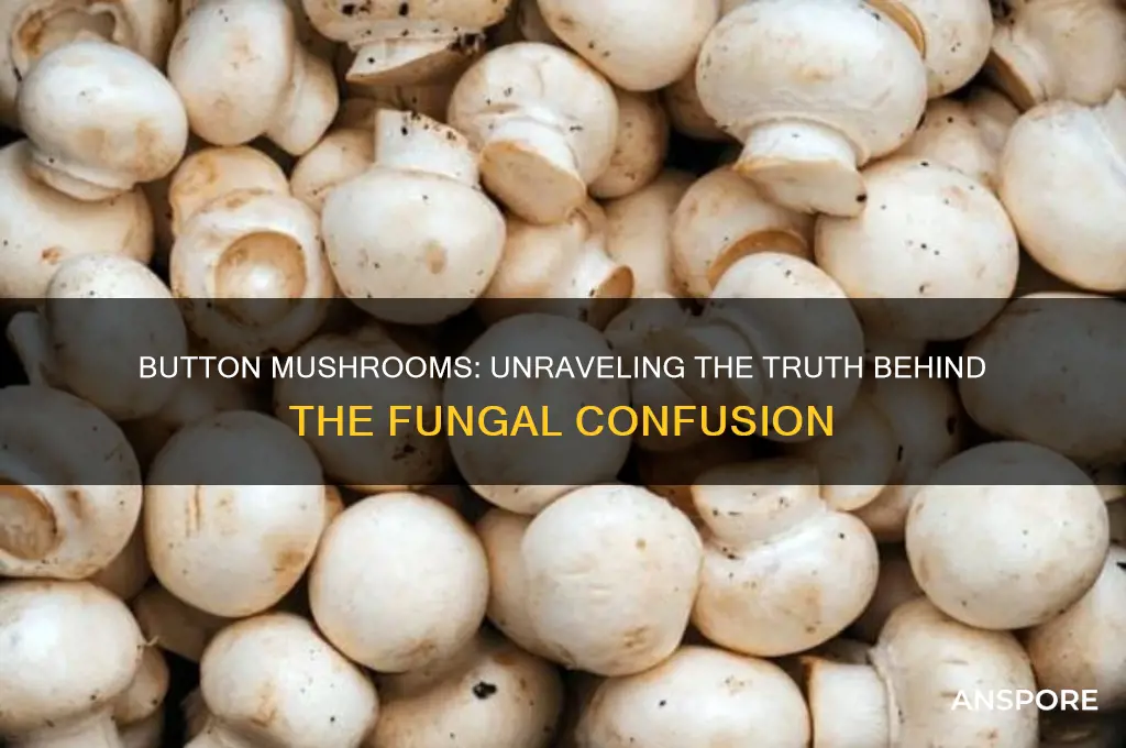 is button a kind of mushroom