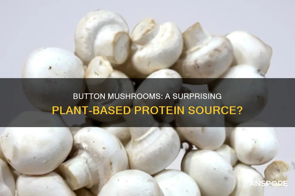 is button mushroom a source of protein