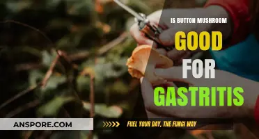 Button Mushrooms and Gastritis: Benefits, Risks, and Dietary Tips