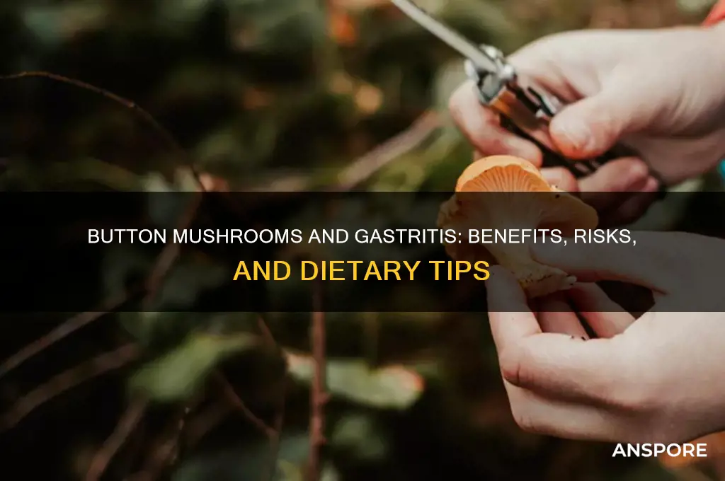is button mushroom good for gastritis