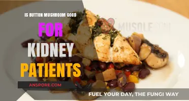 Button Mushrooms and Kidney Health: Benefits or Risks for Patients?