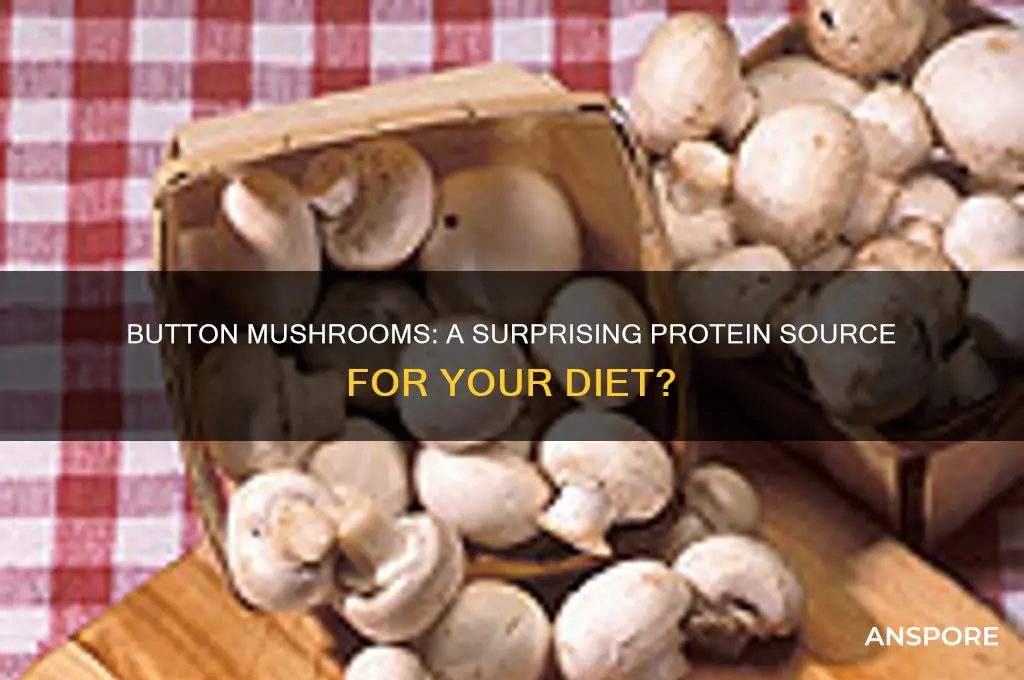 is button mushrooms a good source of protein