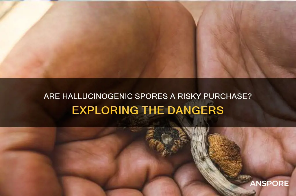 is buying halluciogenic spores dangerous